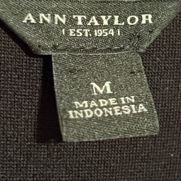 Ann Taylor Dress - Picture 3 of 4